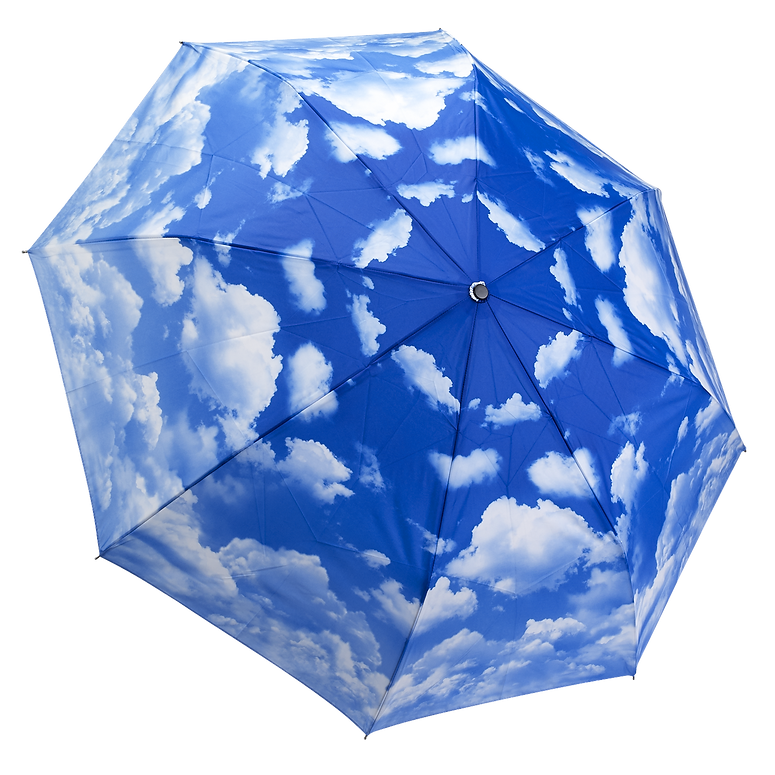 Clear Skies Folding Umbrella