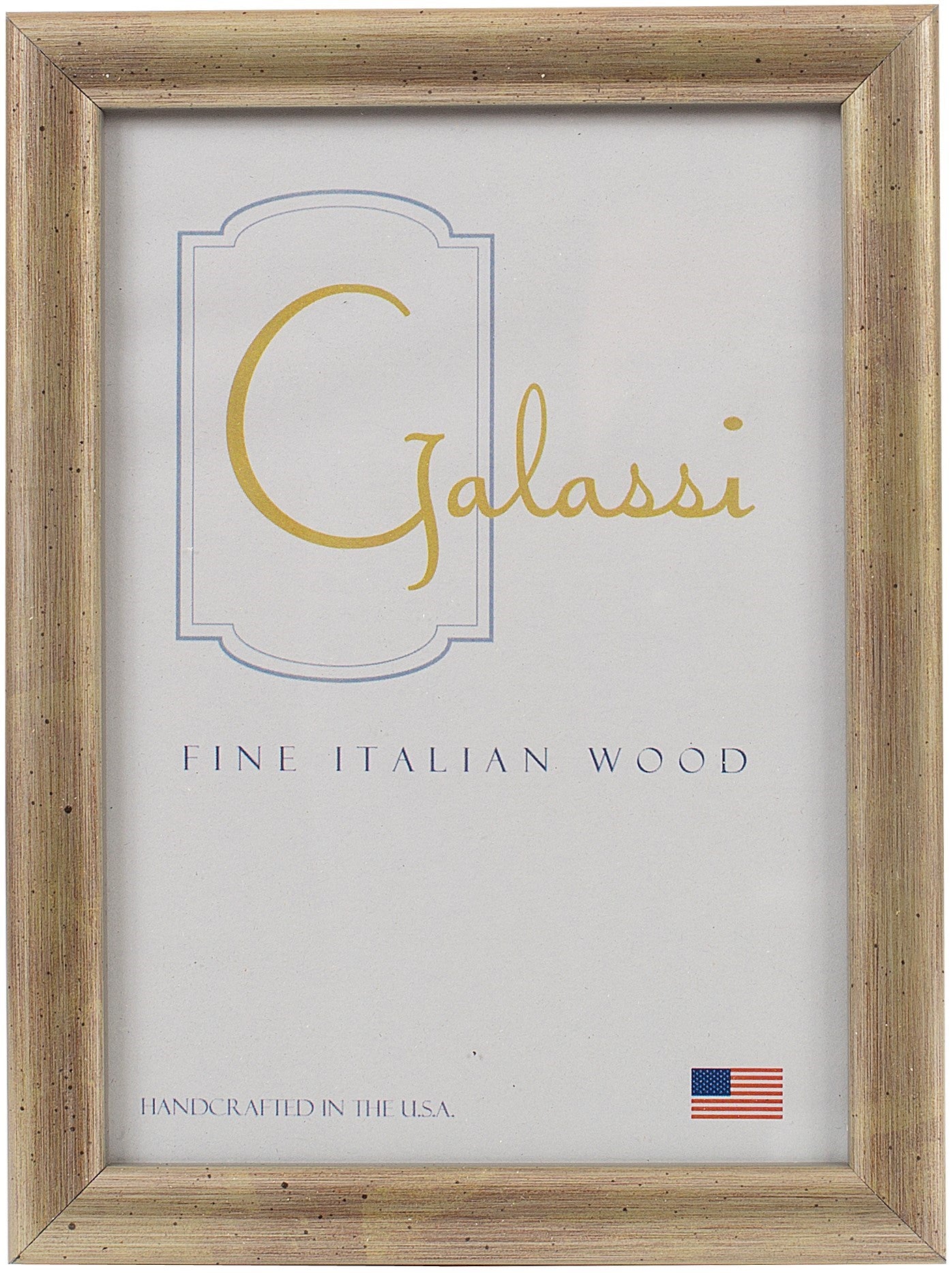Galassi Gilded Silver Leaf Wood Frame