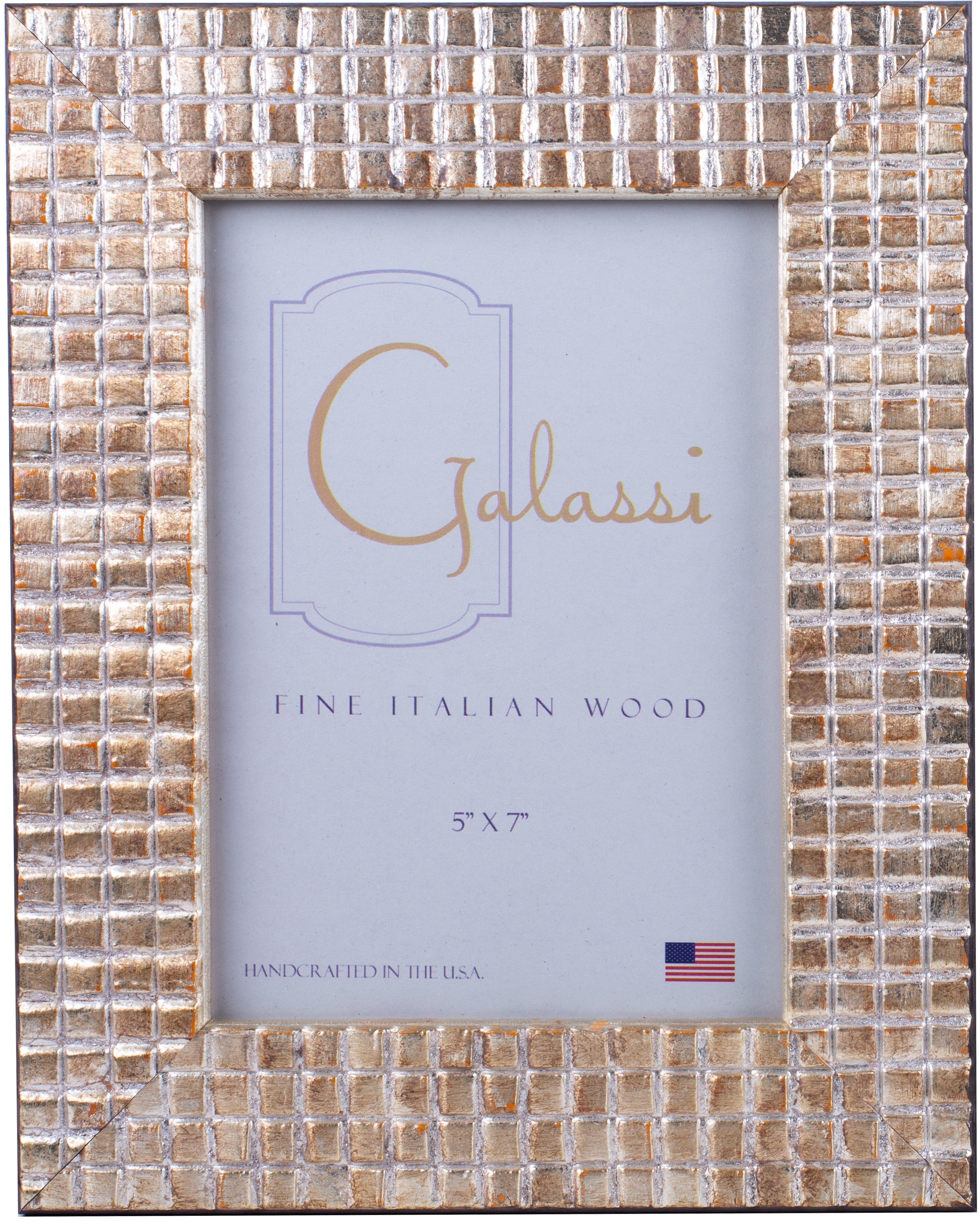 Galassi Silver Mosaic Wood Frame