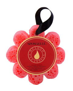 Spongelle Grapefruit Cassis  Wild Flower Soap Sponge